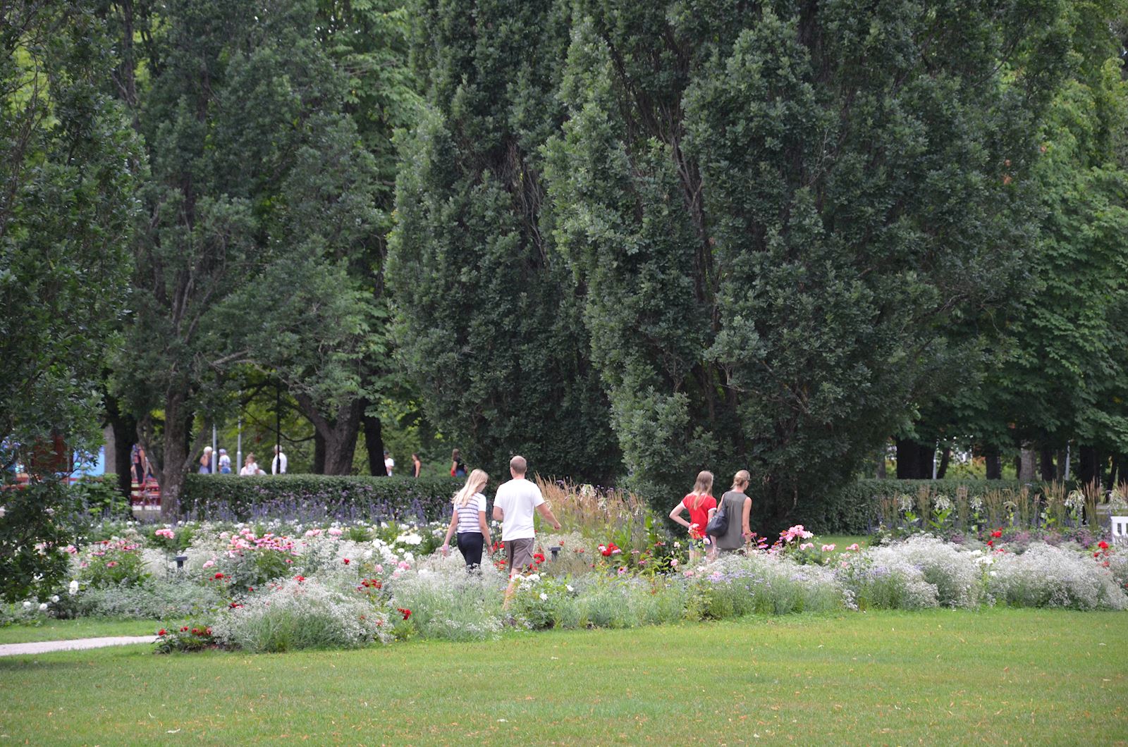 Sommarträning i stadsparken